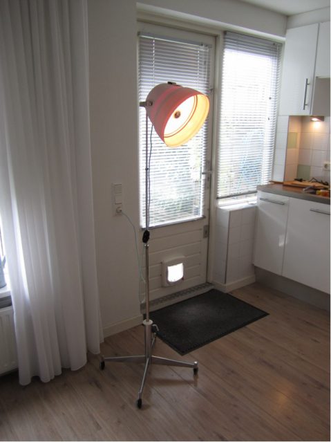 Haardroger Lamp